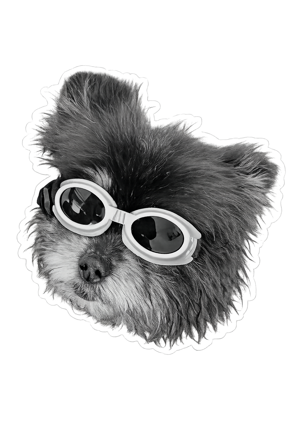 newsmarvin.com image